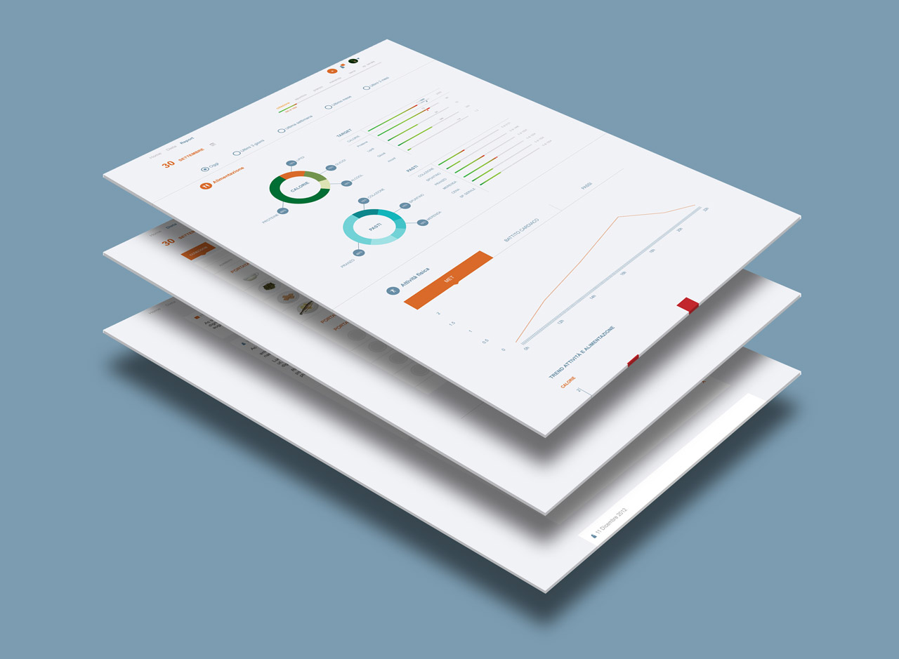 Web application interface design