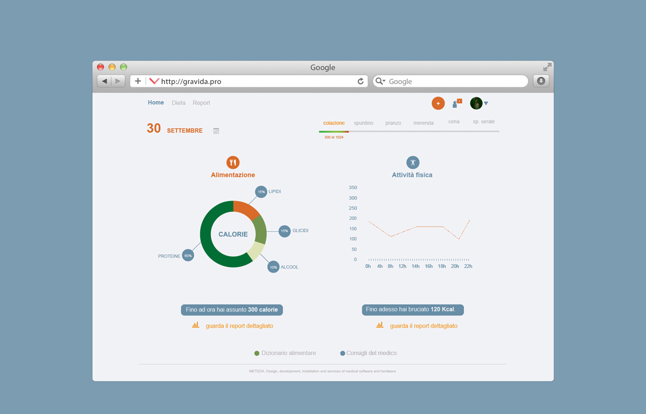 Gravida's project Web application interface design for MeTeDa